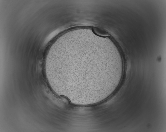 X0000116631163200912312154
