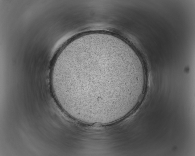 X0000116631164200912312153