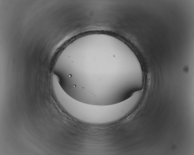 X0000116631165200912312153