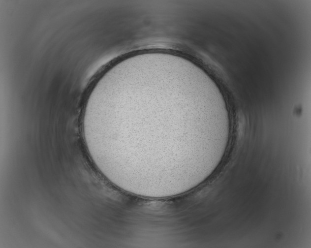 X0000116631166200912312153
