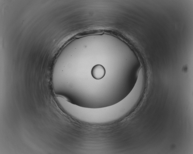 X0000116631169200912312153