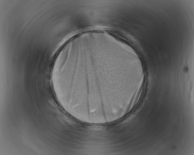X0000116631170200912312153