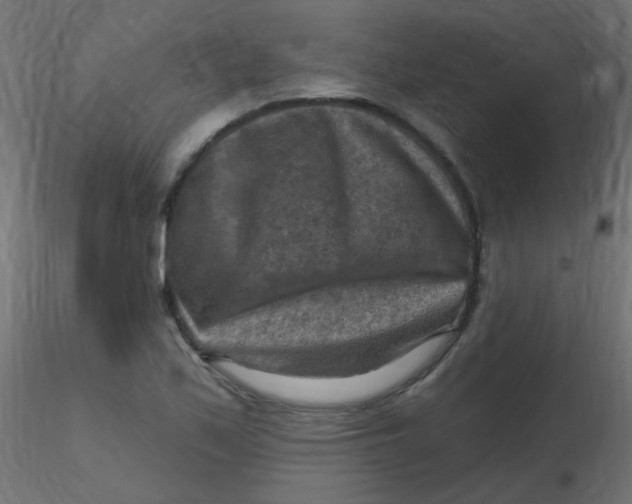 X0000116631171200912312153