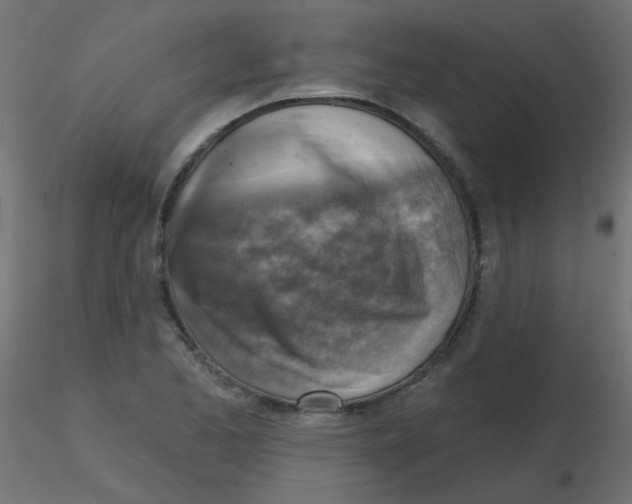 X0000116631173200912312153