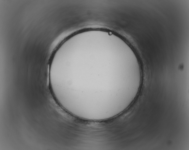 X0000116631175200912312153