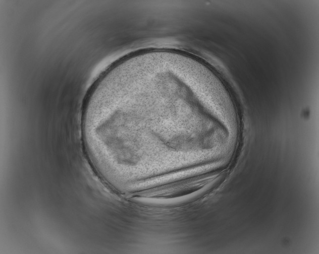 X0000116631176200912312153
