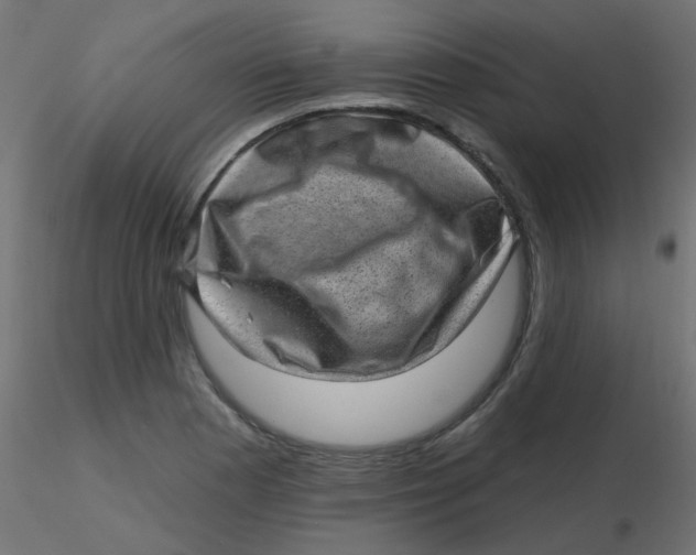 X0000116631177200912312153