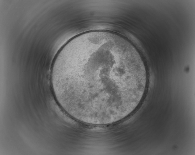 X0000116631178200912312153