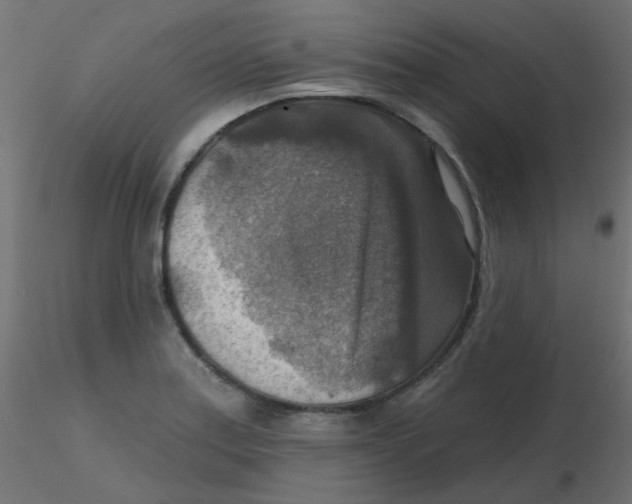 X0000116631179200912312153
