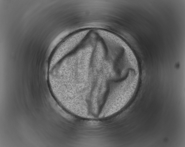 X0000116631180200912312153