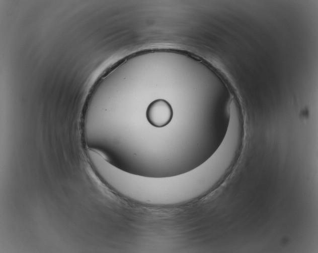 X0000116631181200912312153