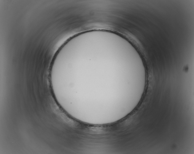 X0000116631182200912312153