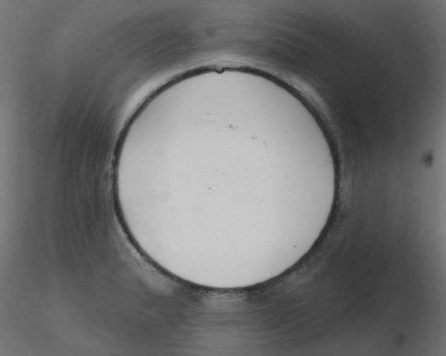 X0000116631183200912312153