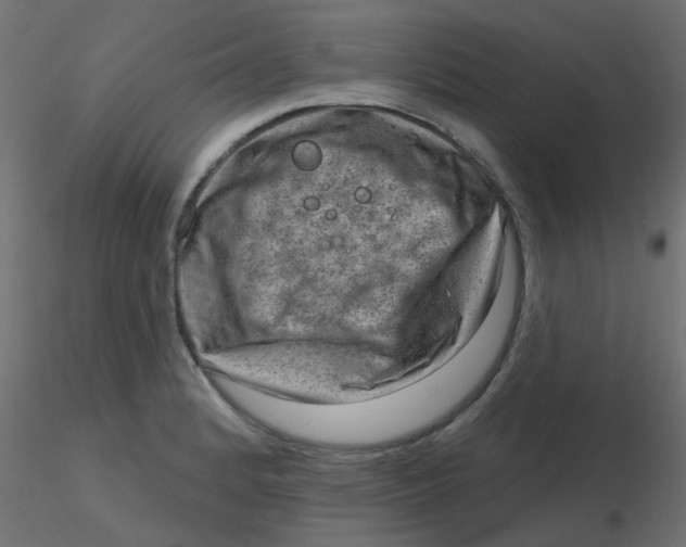 X0000116631184200912312153