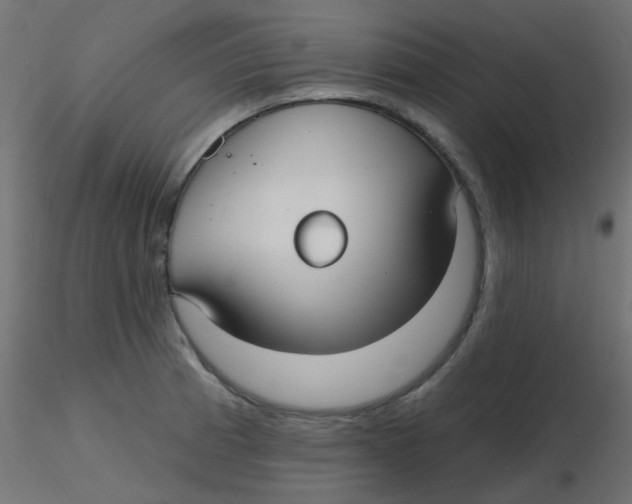 X0000116631185200912312153