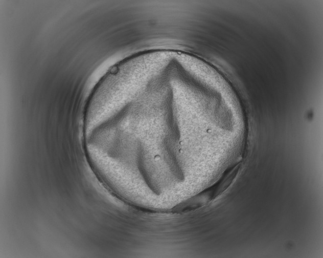 X0000116631188200912312153