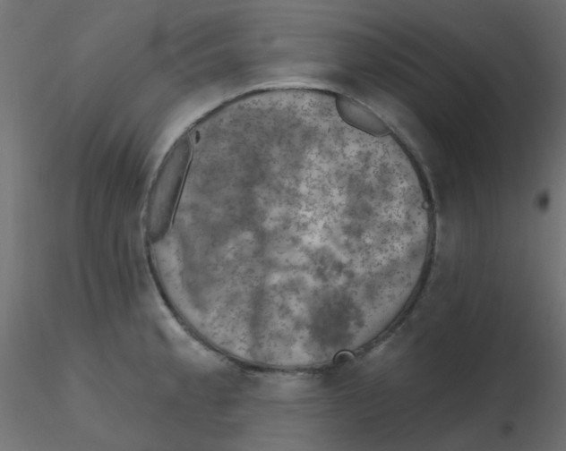 X0000116631189200912312153