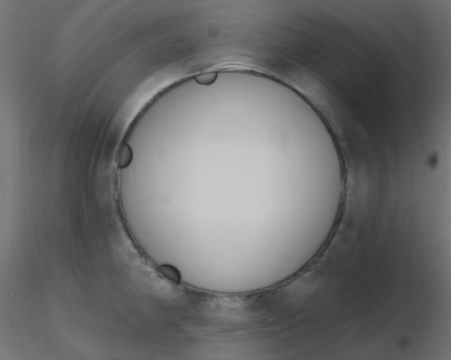 X0000116631190200912312153
