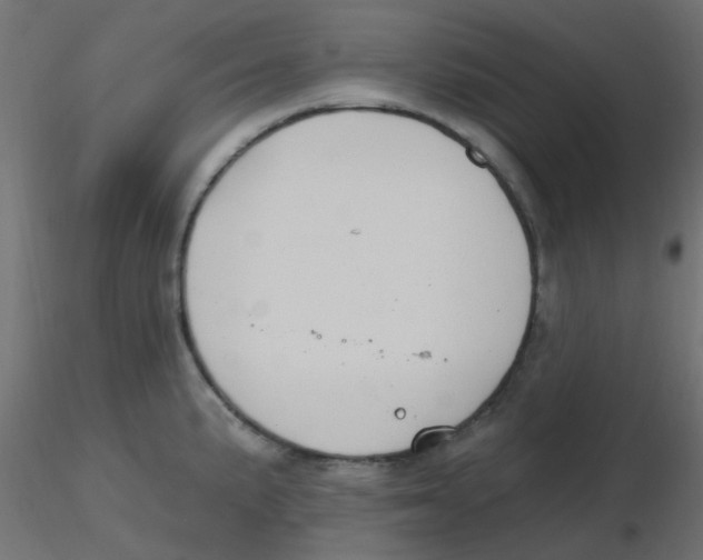 X0000116631191200912312153