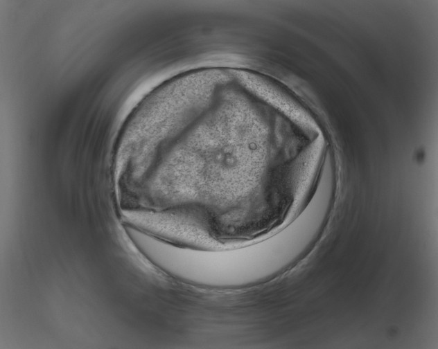 X0000116631192200912312153