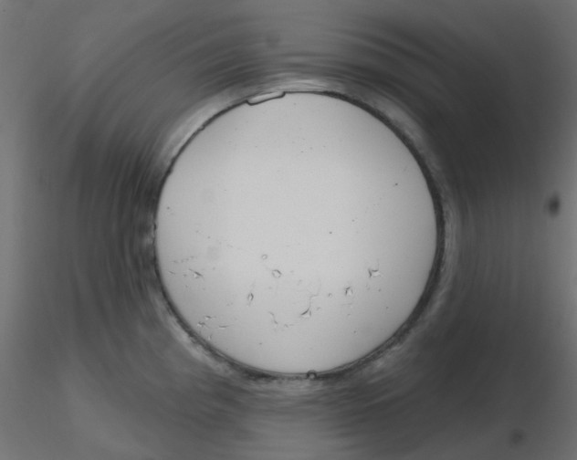 X0000116631193200912312153