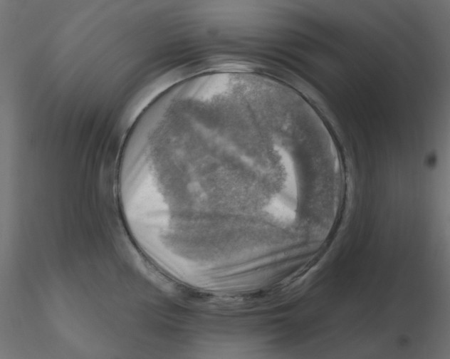 X0000116631194200912312153