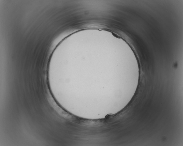 X0000116631195200912312153