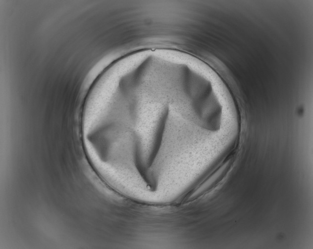 X0000116631196200912312153