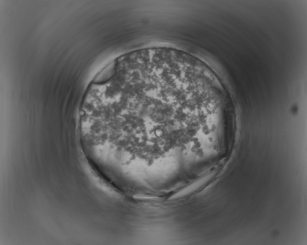 X0000116631198200912312153