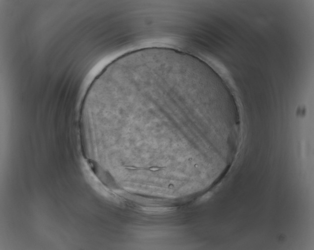 X0000116631200200912312153