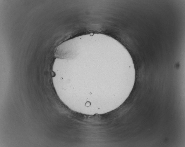 X0000116631201200912312152