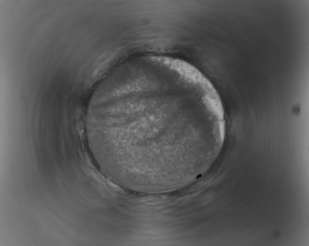 X0000116631202200912312152