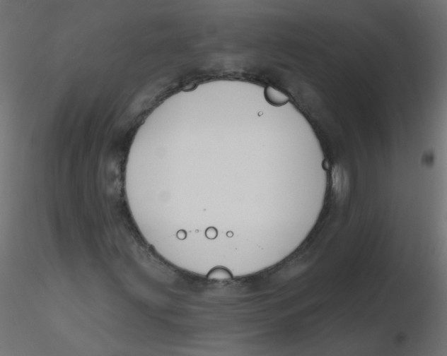 X0000116631203200912312152