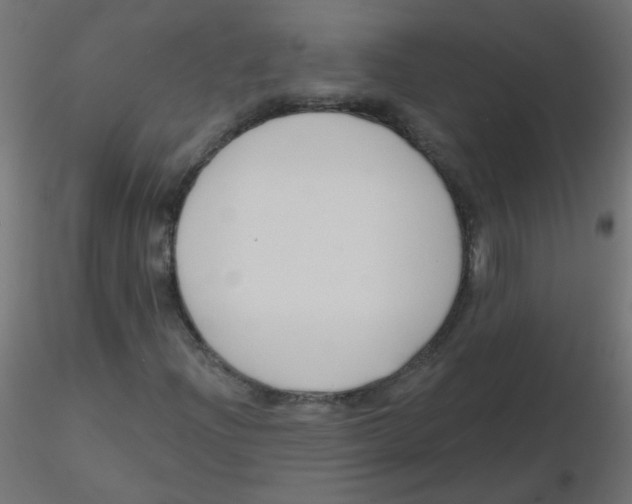 X0000116631204200912312152