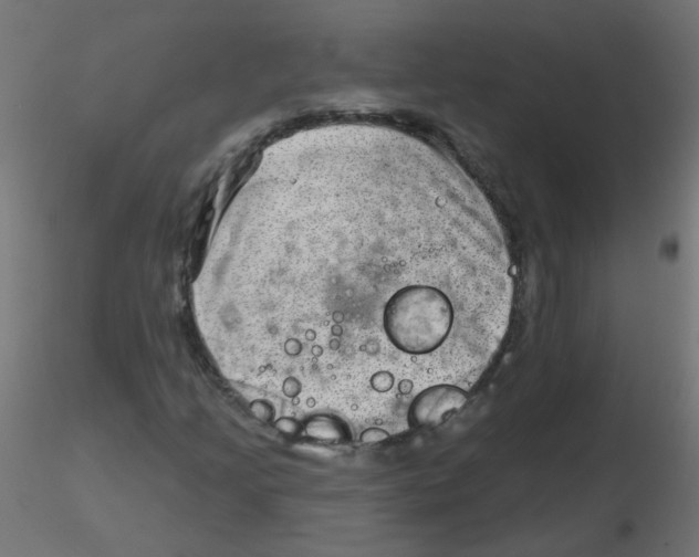 X0000116631205200912312152