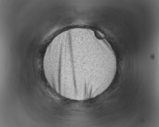 X0000116631206200912312152
