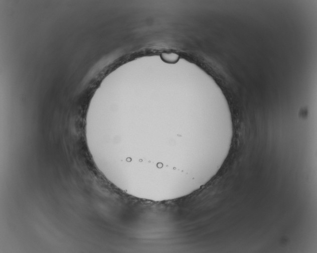 X0000116631207200912312152