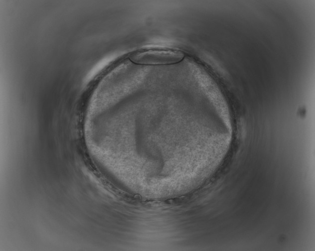 X0000116631208200912312152