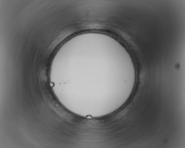 X0000116631209200912312152