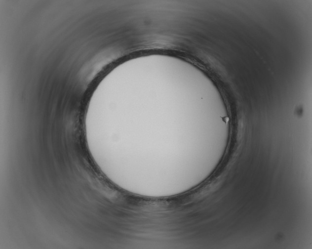 X0000116631210200912312152