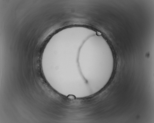 X0000116631211200912312152