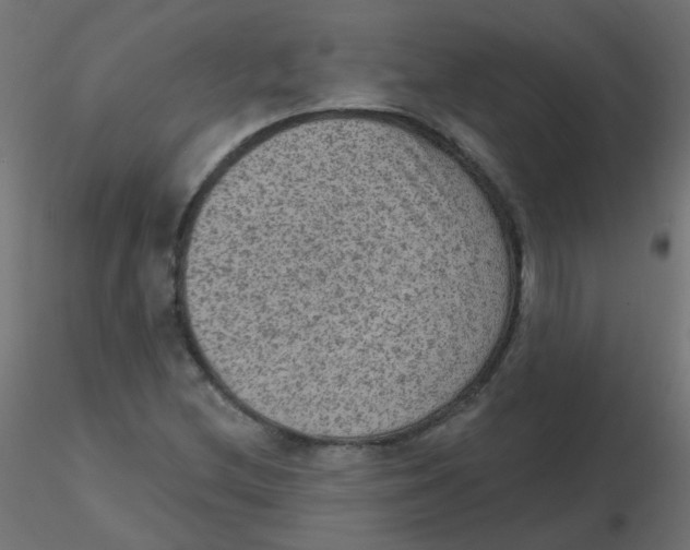X0000116631212200912312153