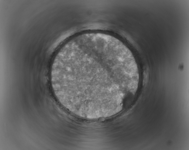 X0000116631213200912312153