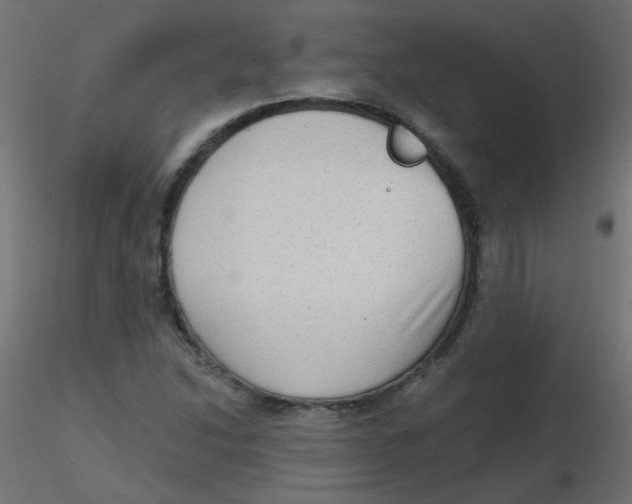 X0000116631214200912312153