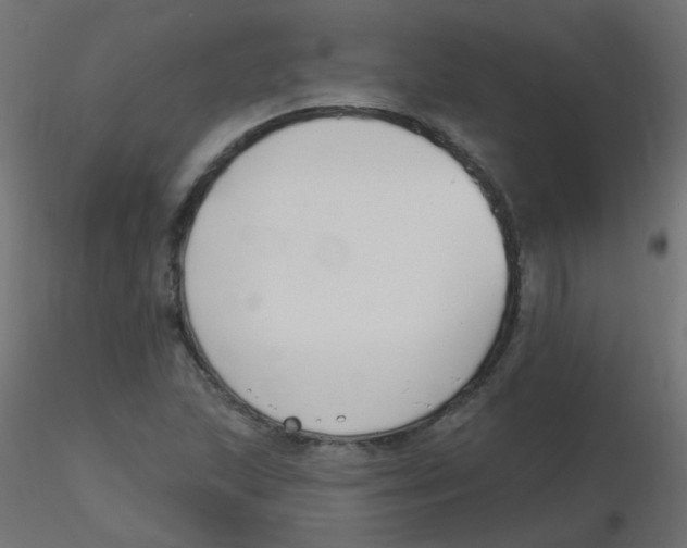 X0000116631215200912312153