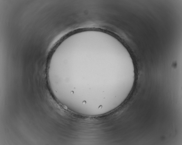 X0000116631216200912312153