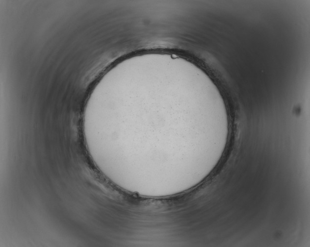 X0000116631217200912312153