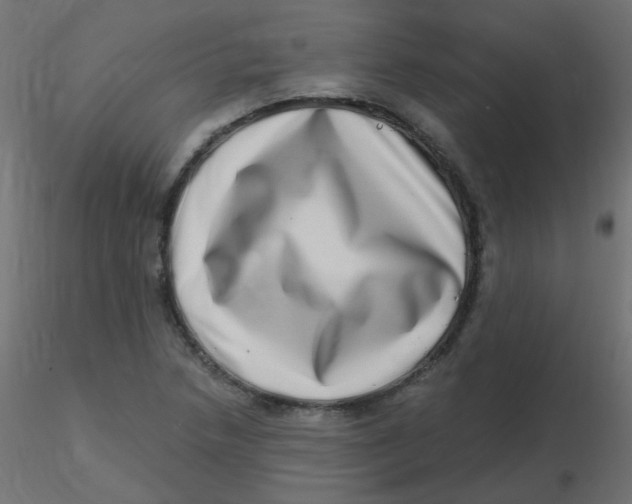 X0000116631218200912312153