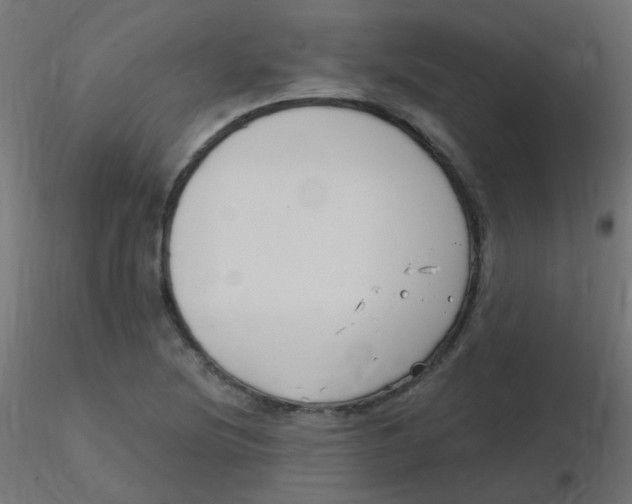X0000116631220200912312153