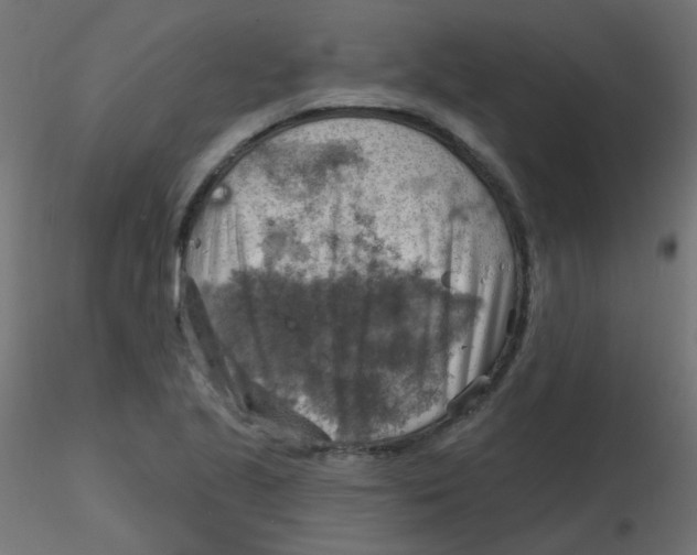X0000116631221200912312153